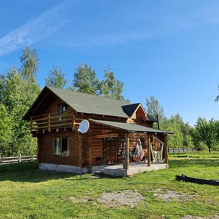 Musketeers Cabin Porumbacu de Sus Exterior photo