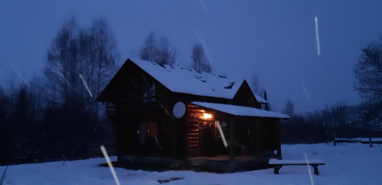 Musketeers Cabin Porumbacu de Sus Exterior photo