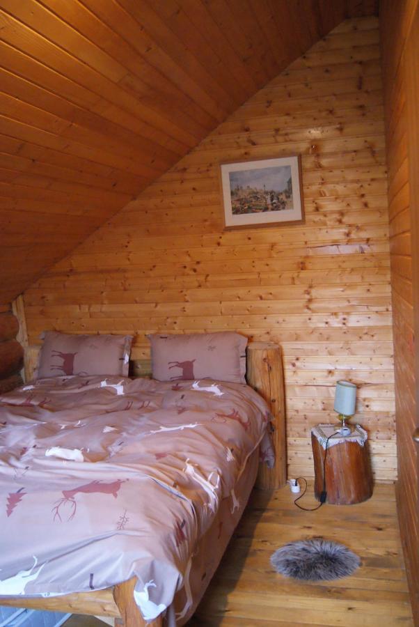Musketeers Cabin Porumbacu de Sus Exterior photo