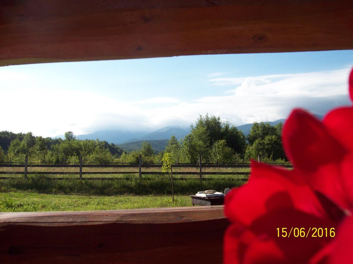 Musketeers Cabin Porumbacu de Sus Exterior photo